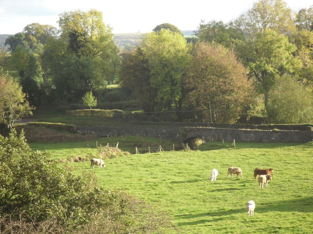 The Homecoming Barn Clogher Luaran gambar